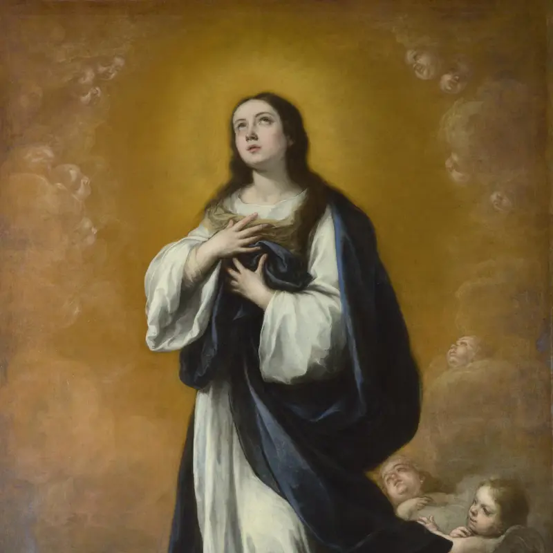 The Immaculate Conception of the Virgin
