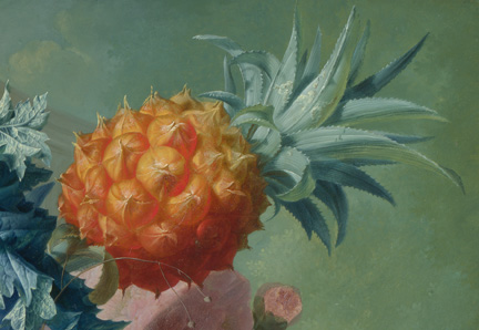 Detail from Jan van Os, 'Fruit and Flowers in a Terracotta Vase' 1777–8