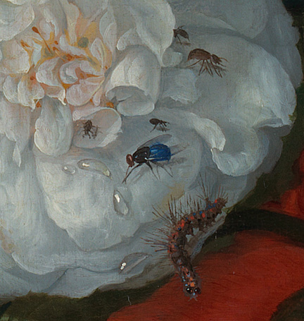 Detail from Jacob van Walscapelle, 'Flowers in a Glass Vase' about 1670