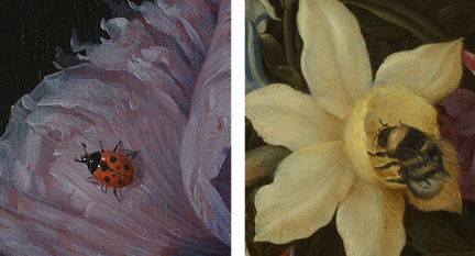 Detail from Jacob van Walscapelle, 'Flowers in a Glass Vase' about 1670 (left) and Detail from Ambrosius the Elder Bosschaert, ‘Flowers in a Glass Vase’, 1609–10 (right)