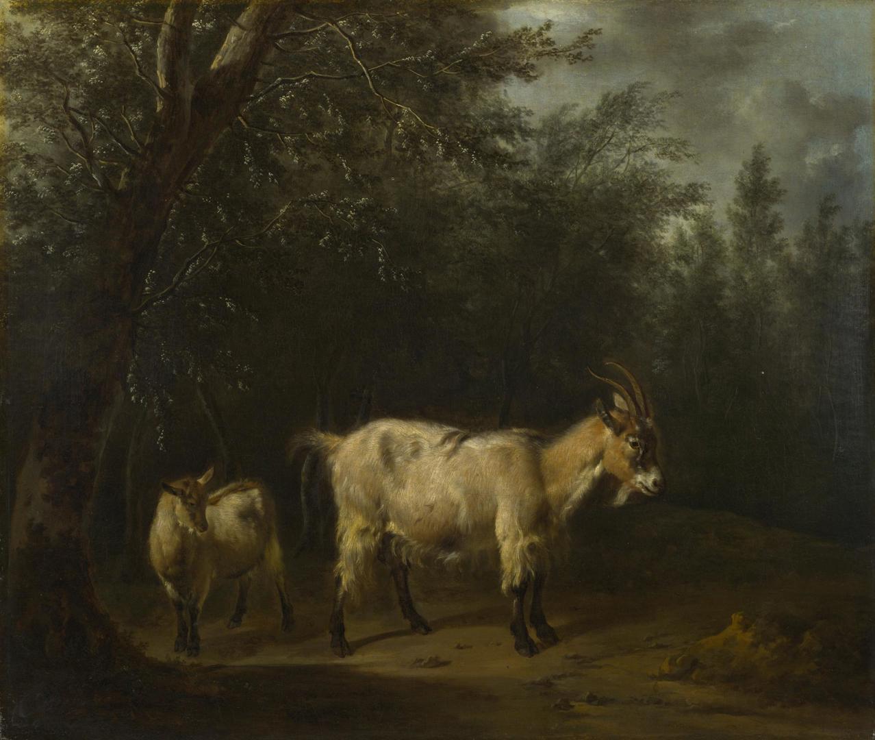 A Goat and a Kid by Adriaen van de Velde