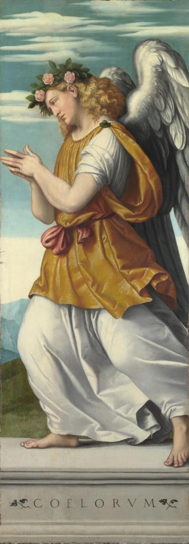 An Adoring Angel by Moretto da Brescia