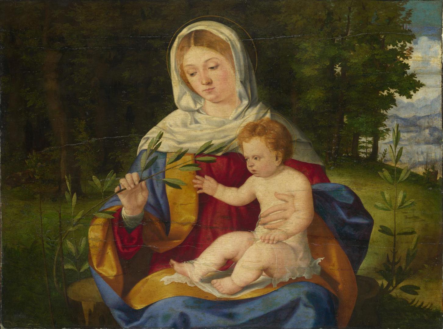 The Virgin and Child with a Shoot of Olive by Andrea Previtali