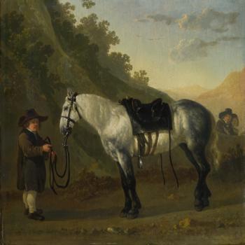 A Boy holding a Grey Horse