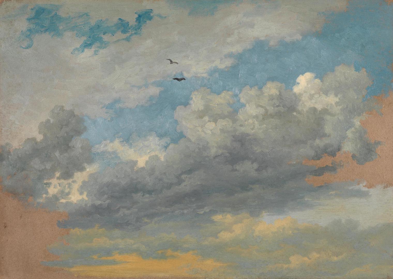 Sky Study with Birds by Jean-Michel Cels
