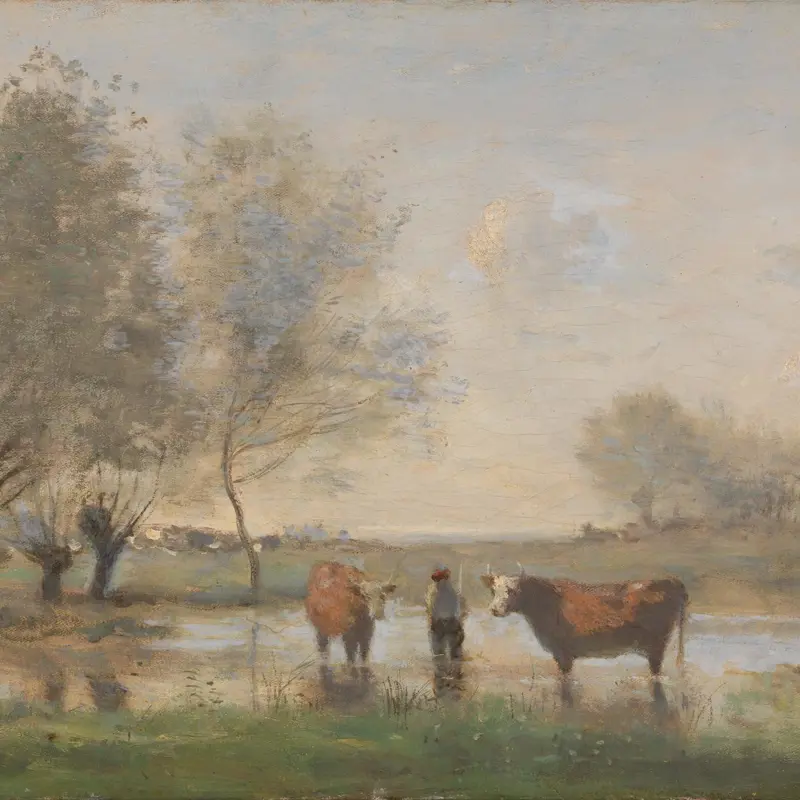 Cows in a Marshy Landscape
