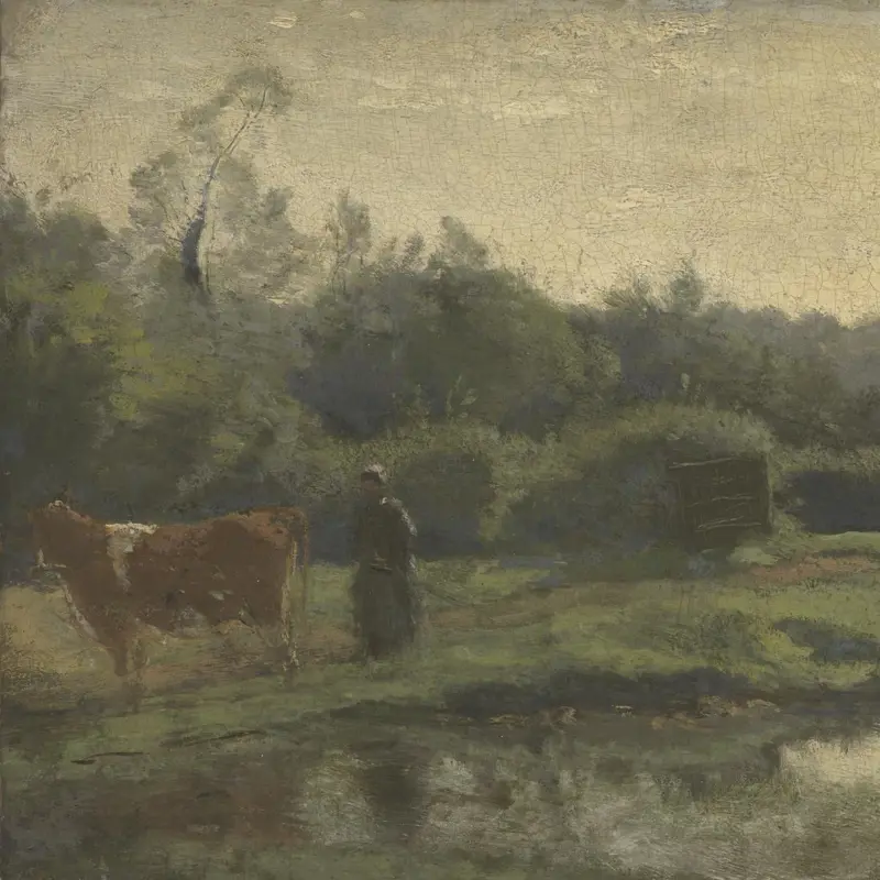 Summer Morning