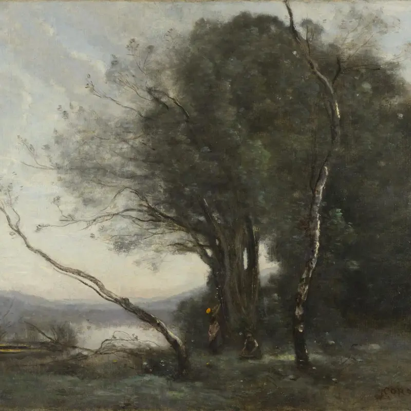 The Leaning Tree Trunk