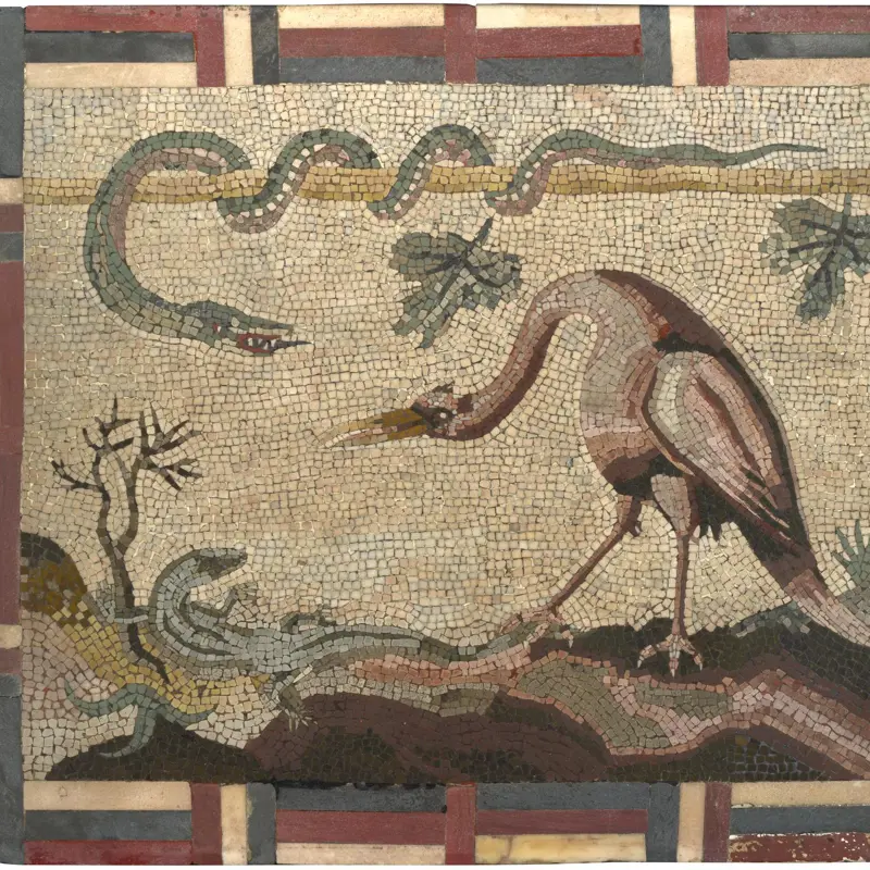 Crane, Python and Lizard