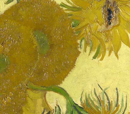 Detail from Van Gogh, 'Sunflowers', 1888