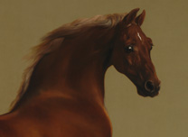 stubbs george national nationalgallery celebrate horse year