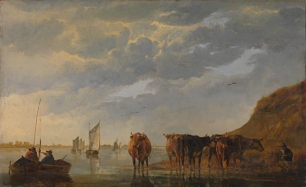 five cows