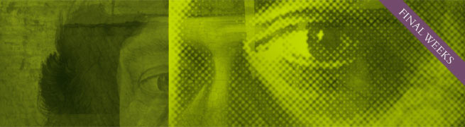 Close Examination: Fakes, Mistakes and Discoveries