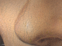 Detail from Jan Gossaert: 'Man with a Rosary'