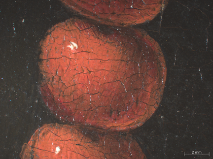 Detail from Jan Gossaert: 'Man with a Rosary'