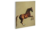 Whistlejacket Box Print