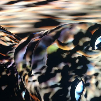 Shifting Ground 