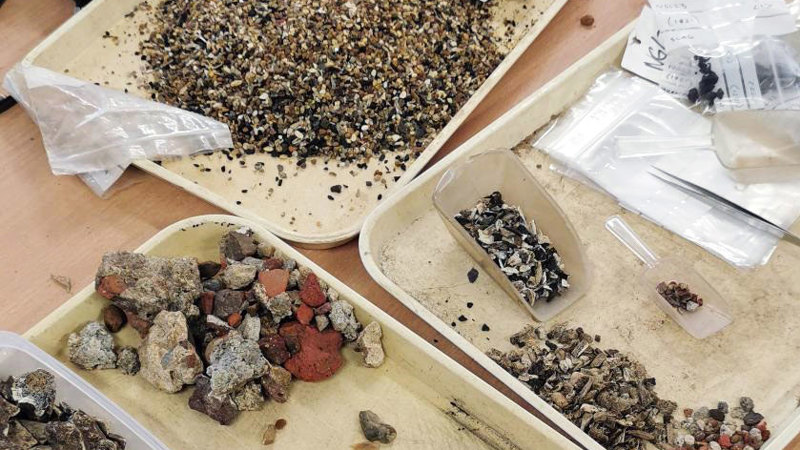 Trays of small, carefully arranged piles of archaeological materials including fragments of bone and orange and grey ceramic building material.