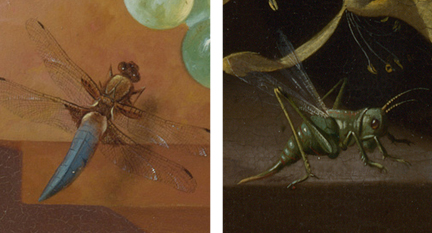 Detail from Jan van Os, 'Fruit and Flowers in a Terracotta Vase' 1777–8 (left) and Detail fom Rachel Ruysch, 'Flowers in a Vase', about 1685 (right)