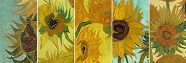 Sunflowers Live
