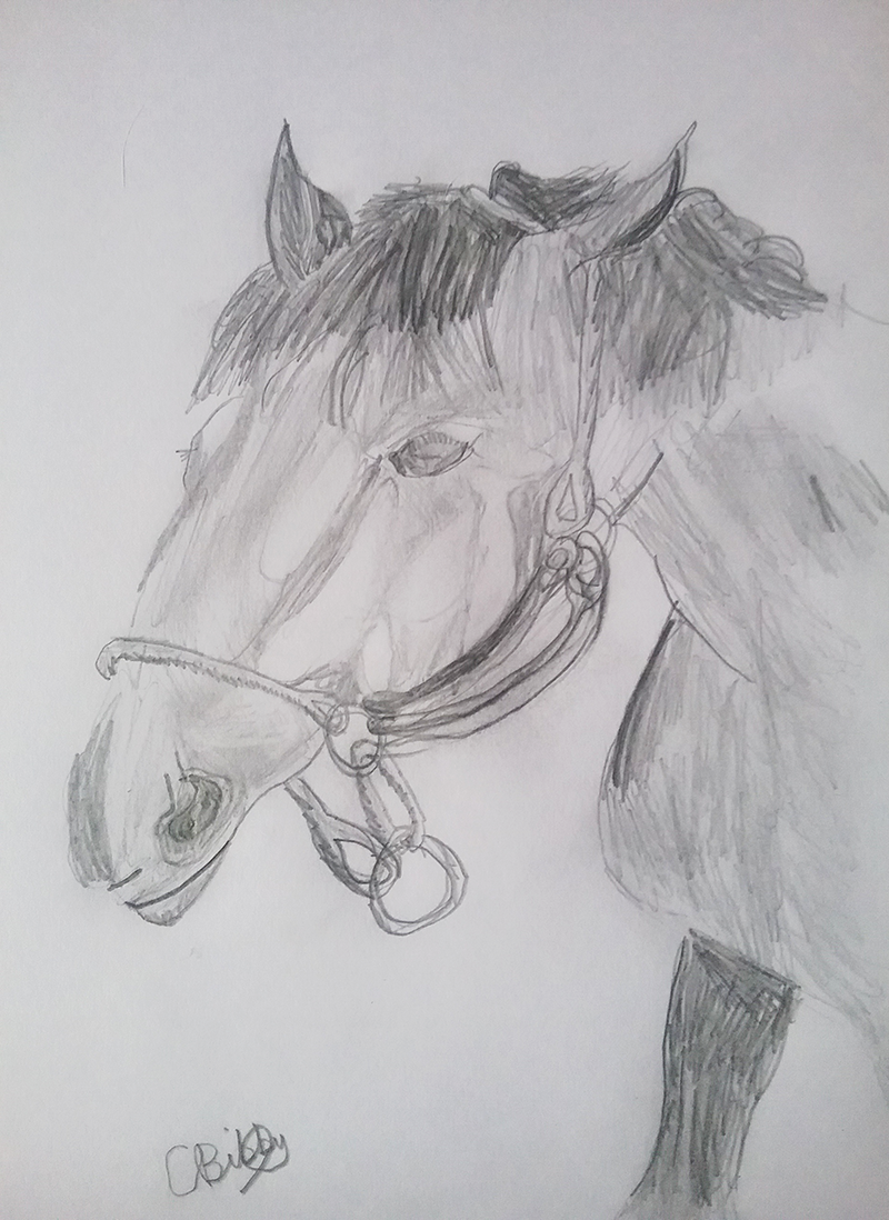 'Whistlejacket' by Charli aged 11