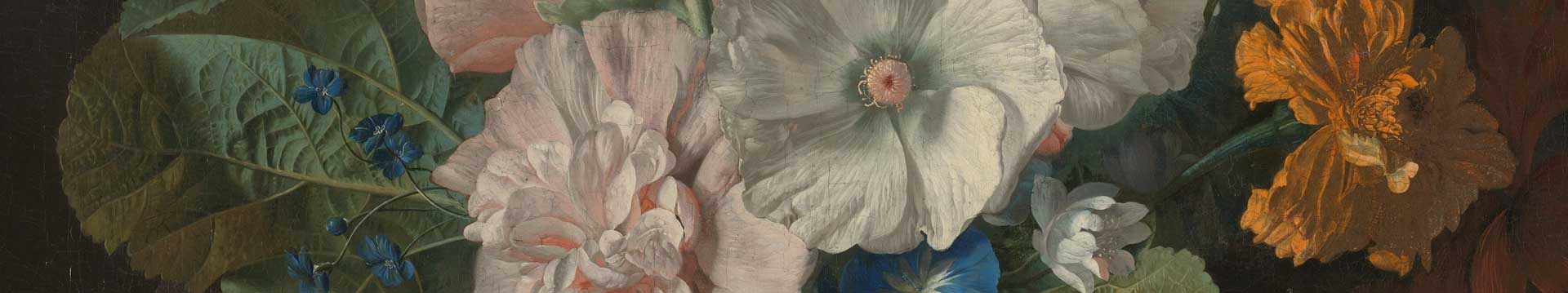 Rachel Ruysch