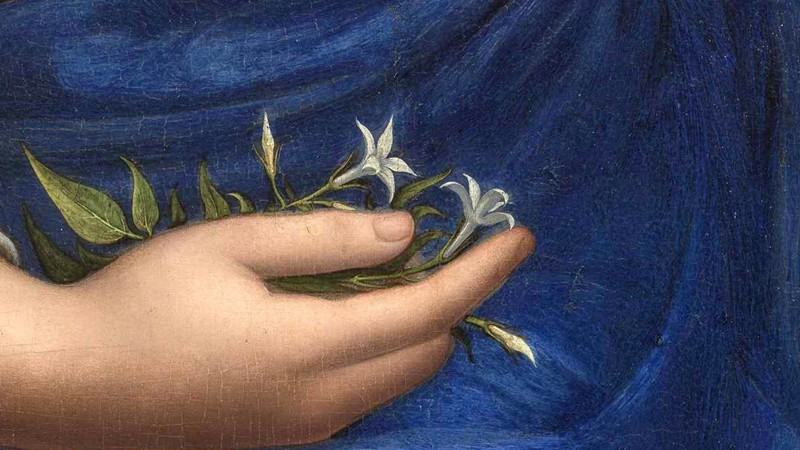 Detail from Francesco Melzi, 'Flora', about 1520 © The State Hermitage Museum, St. Petersburg, 2019. Photo: Vladimir Terebenin