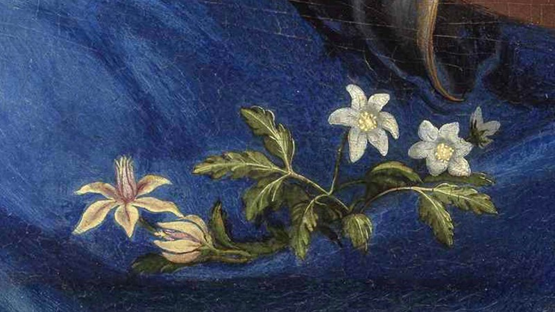 Detail from Francesco Melzi, 'Flora', about 1520 © The State Hermitage Museum, St. Petersburg, 2019. Photo: Vladimir Terebenin