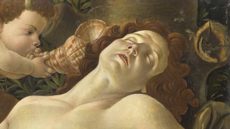 Detail of Sandro Botticelli, 'Venus and Mars', about 1485. Man reclining.