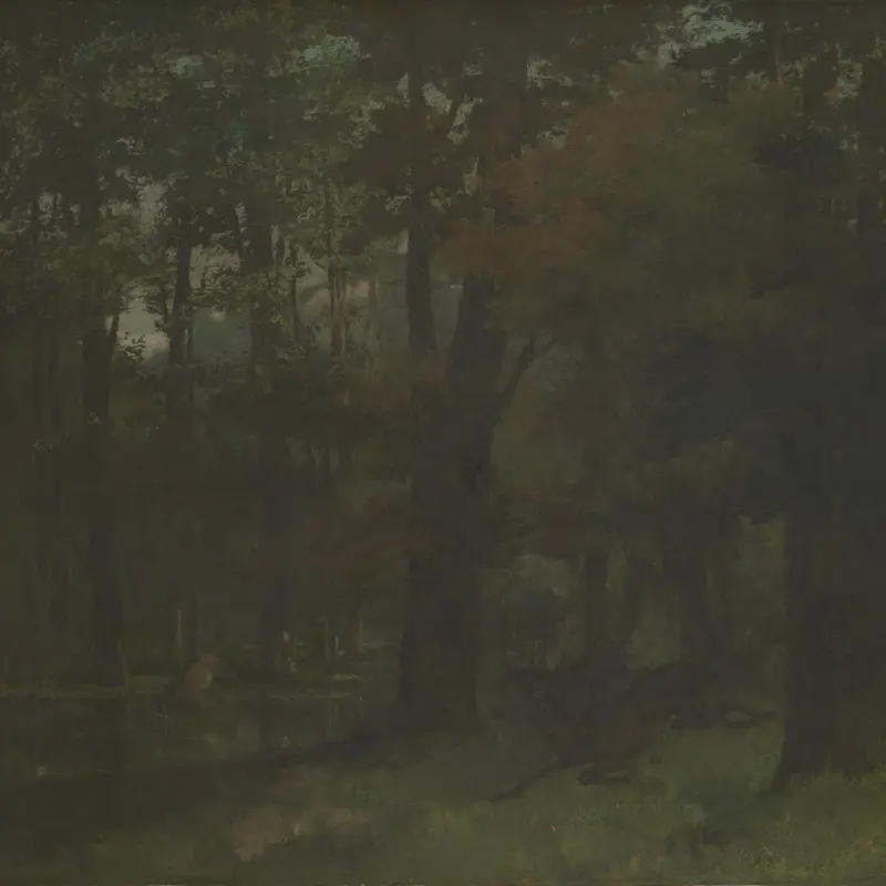 In the Forest