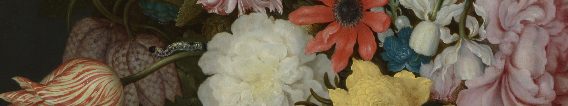 A creepy crawl through the collection 