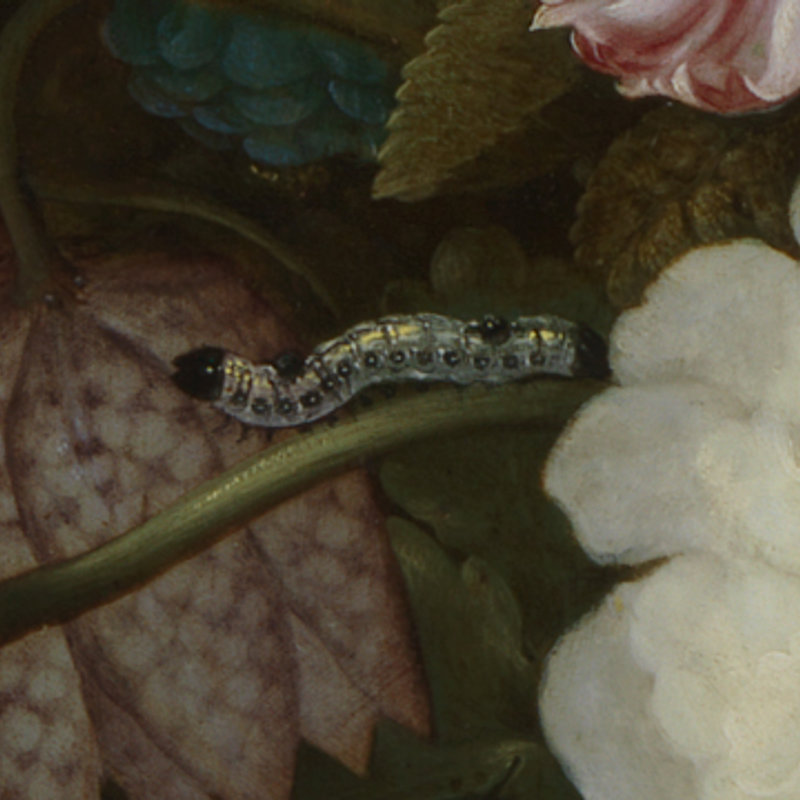 A creepy crawl through the collection