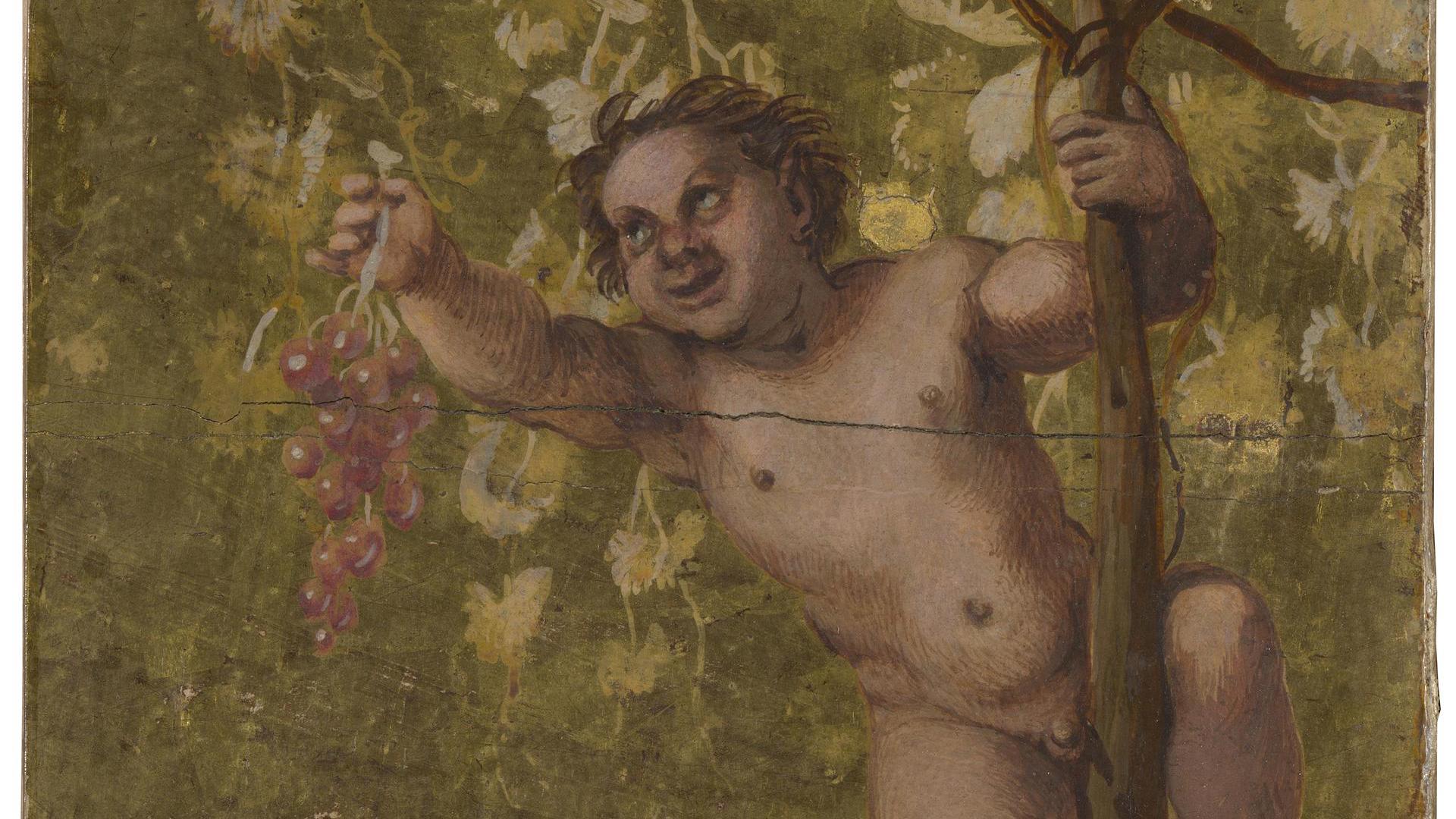 Young Satyr gathering Grapes by Annibale Carracci