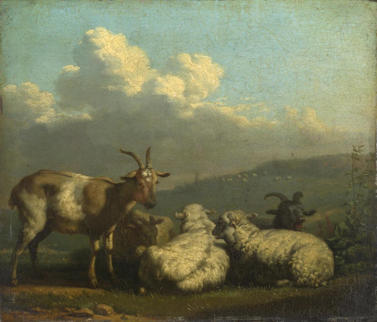 Sheep and Goats by Karel Dujardin