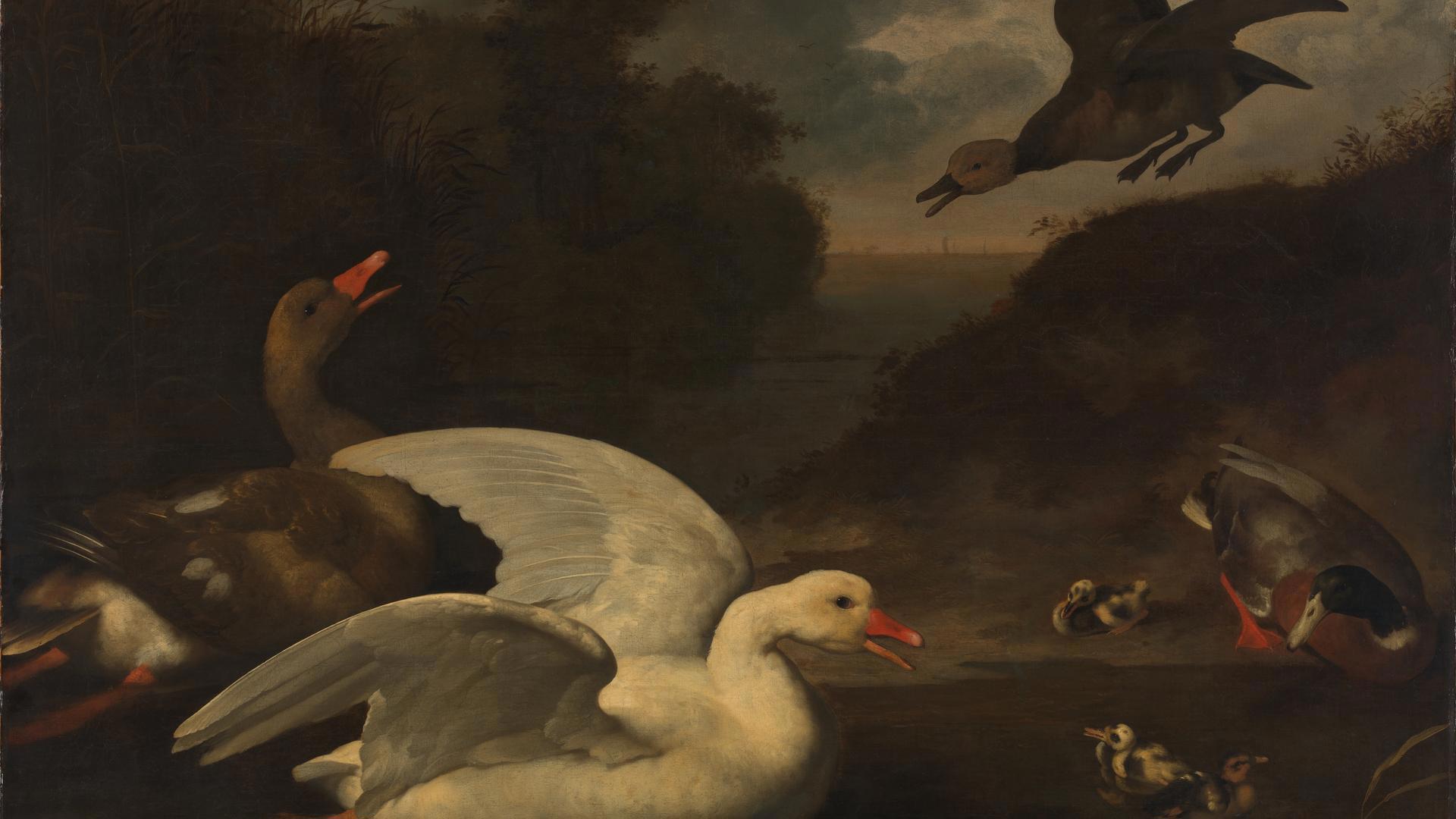Geese and Ducks by Johannes Spruyt