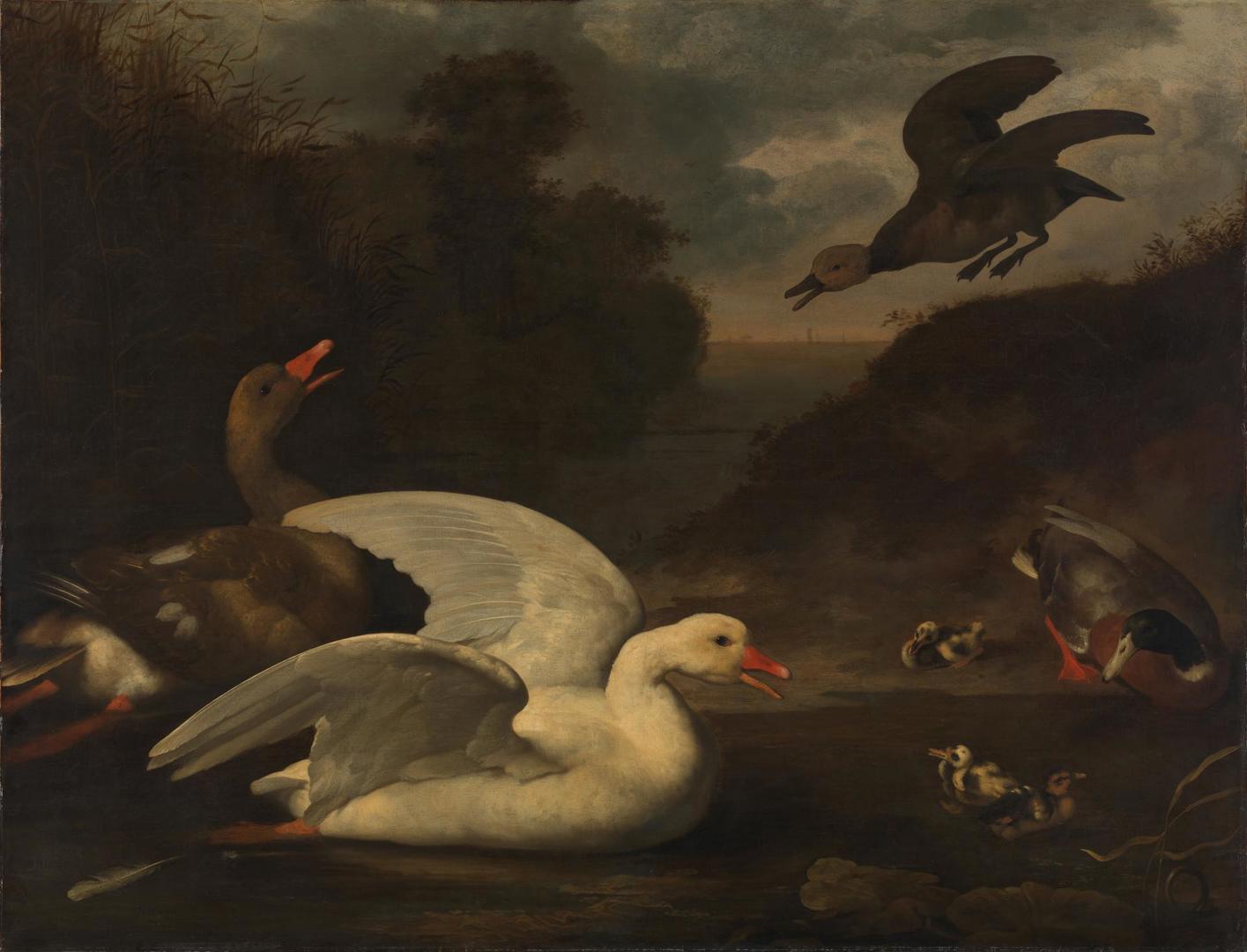Geese and Ducks by Johannes Spruyt