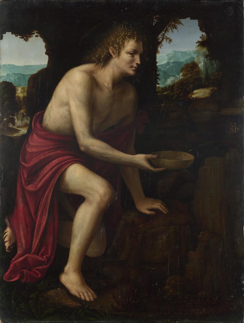 Saint John the Baptist in the Desert by Martino Piazza