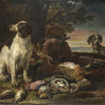 Dead Birds and Game with Gun Dogs and a Little Owl