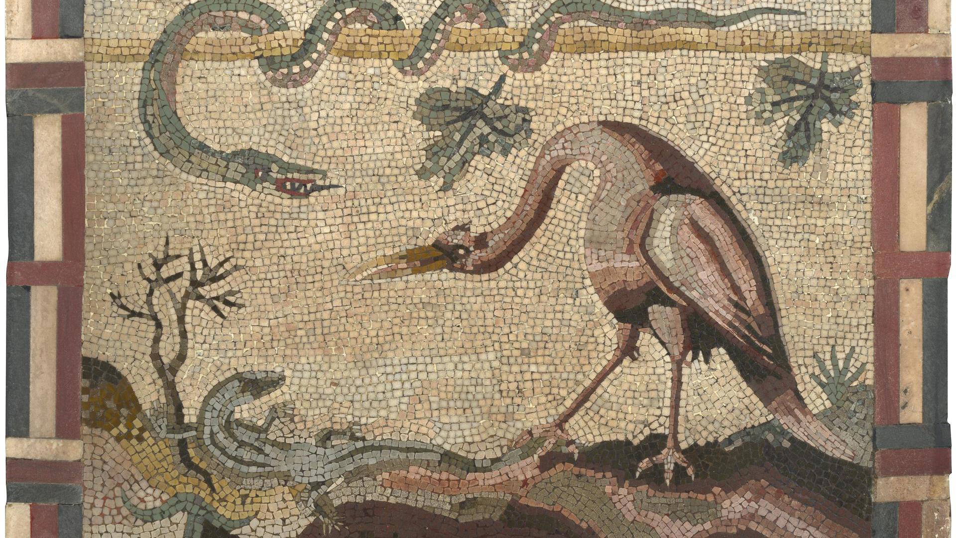 Crane, Python and Lizard by Italian, Roman