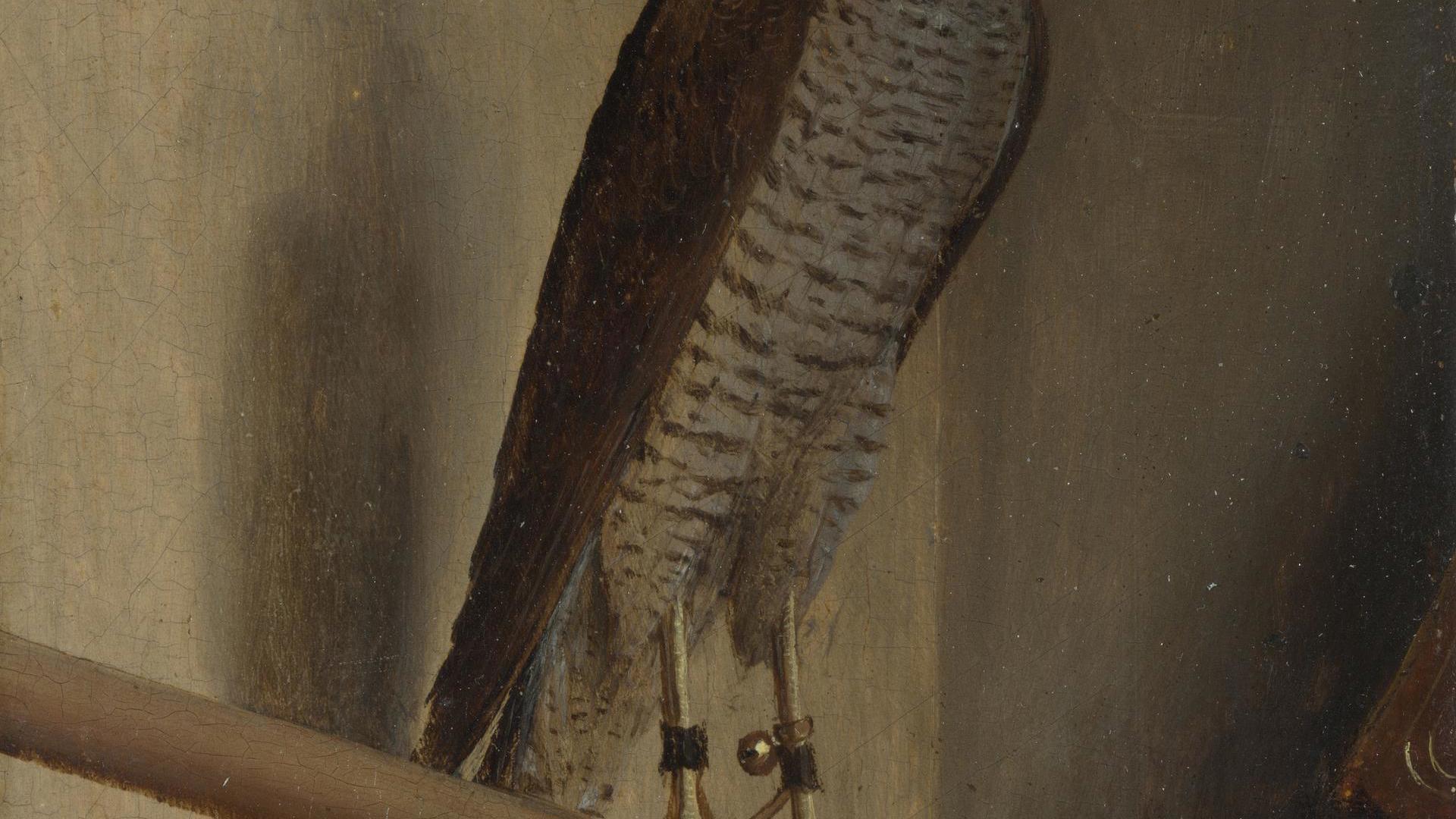 A Sparrowhawk by Jacopo de' Barbari