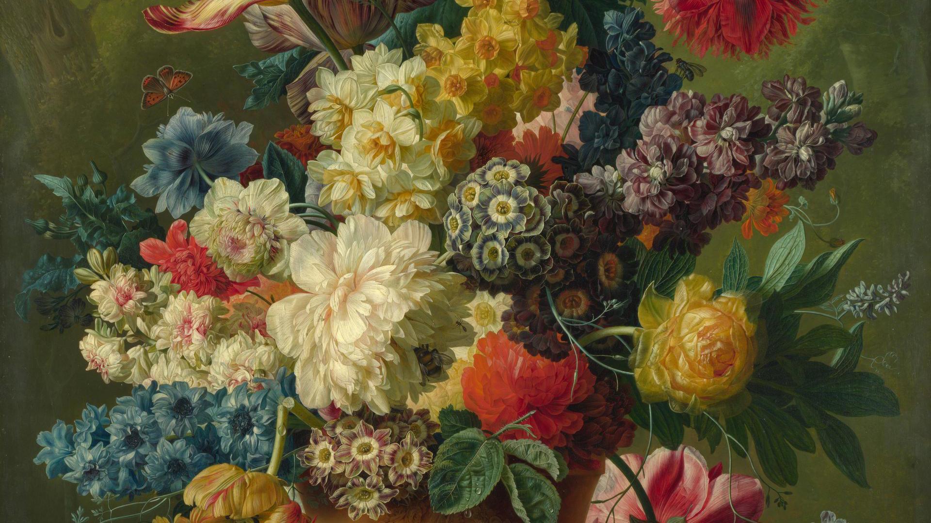 Paulus Theodorus van Brussel | Flowers in a Vase | NG3225 | National  Gallery, London