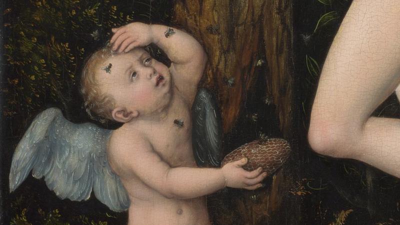 Lucas Cranach the Elder, 'Cupid complaining to Venus', 1526-7