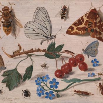 Insects with Common Hawthorn and Forget-Me-Not