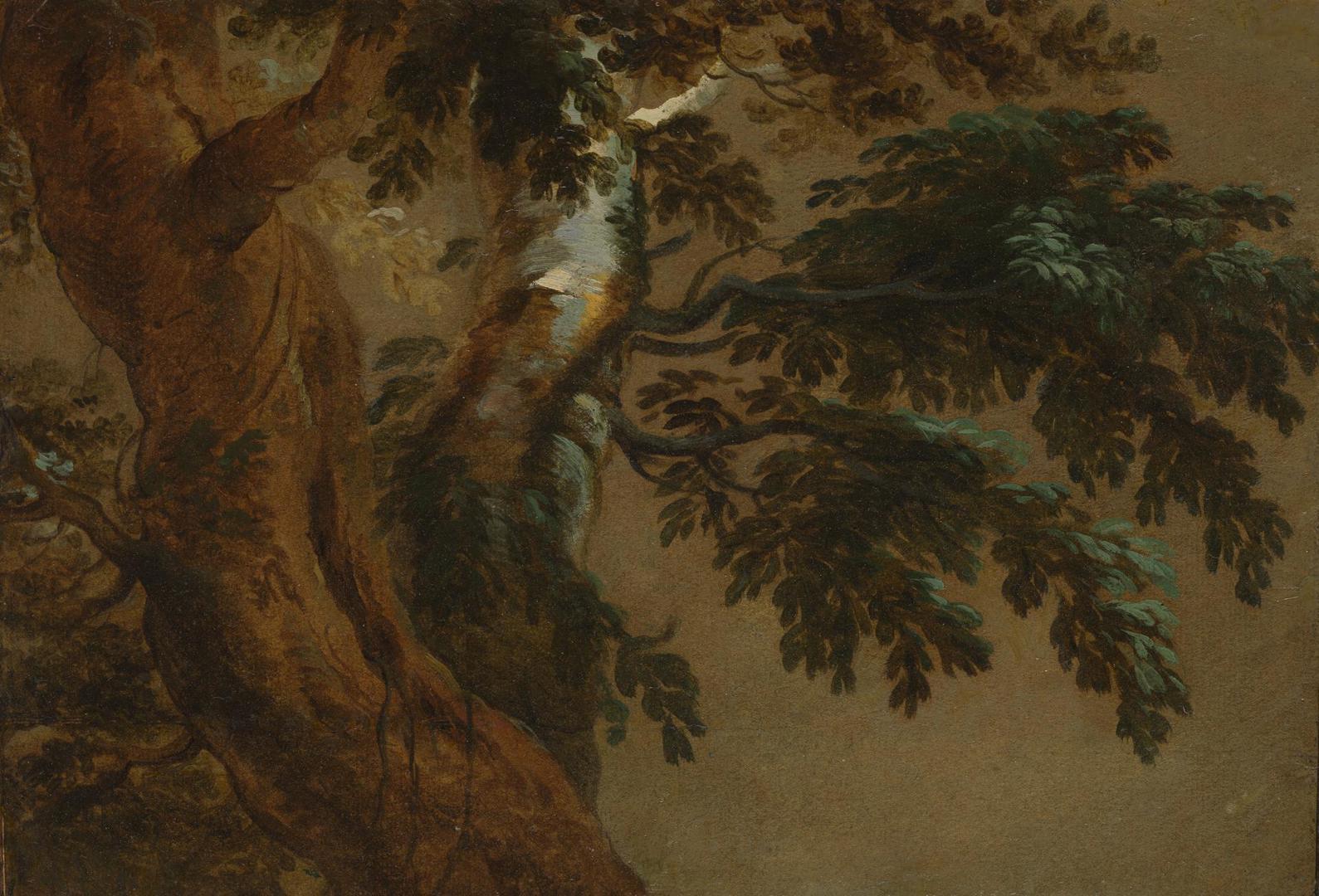 Study of Two Trees by Possibly by François Desportes