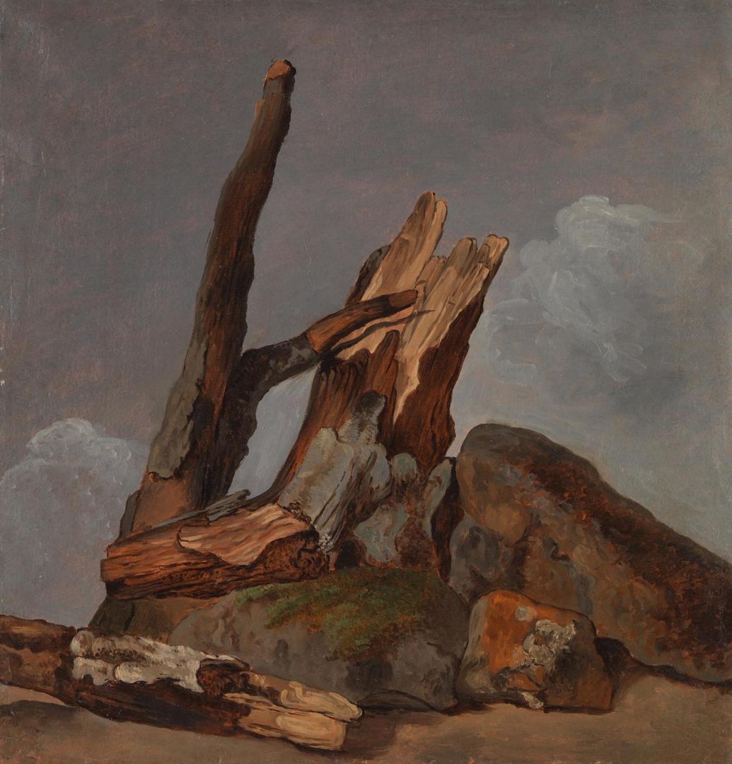 Rocks, Tree Trunks and Branches by George Augustus Wallis