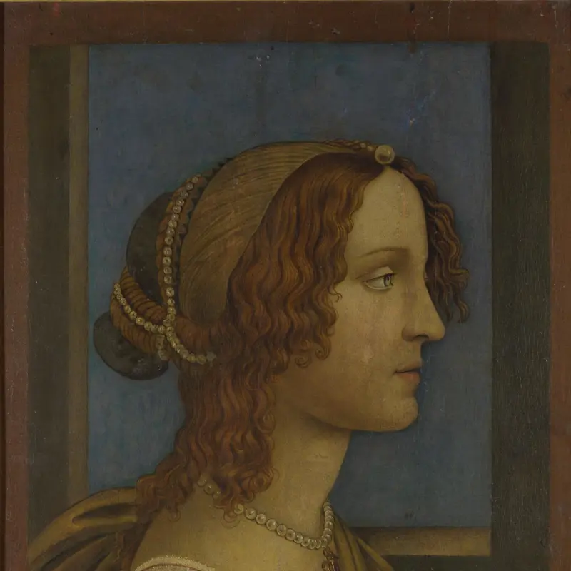 A Lady in Profile