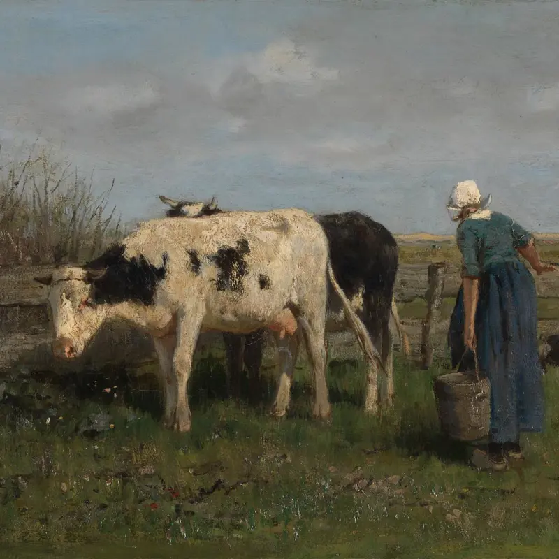 Milking Time