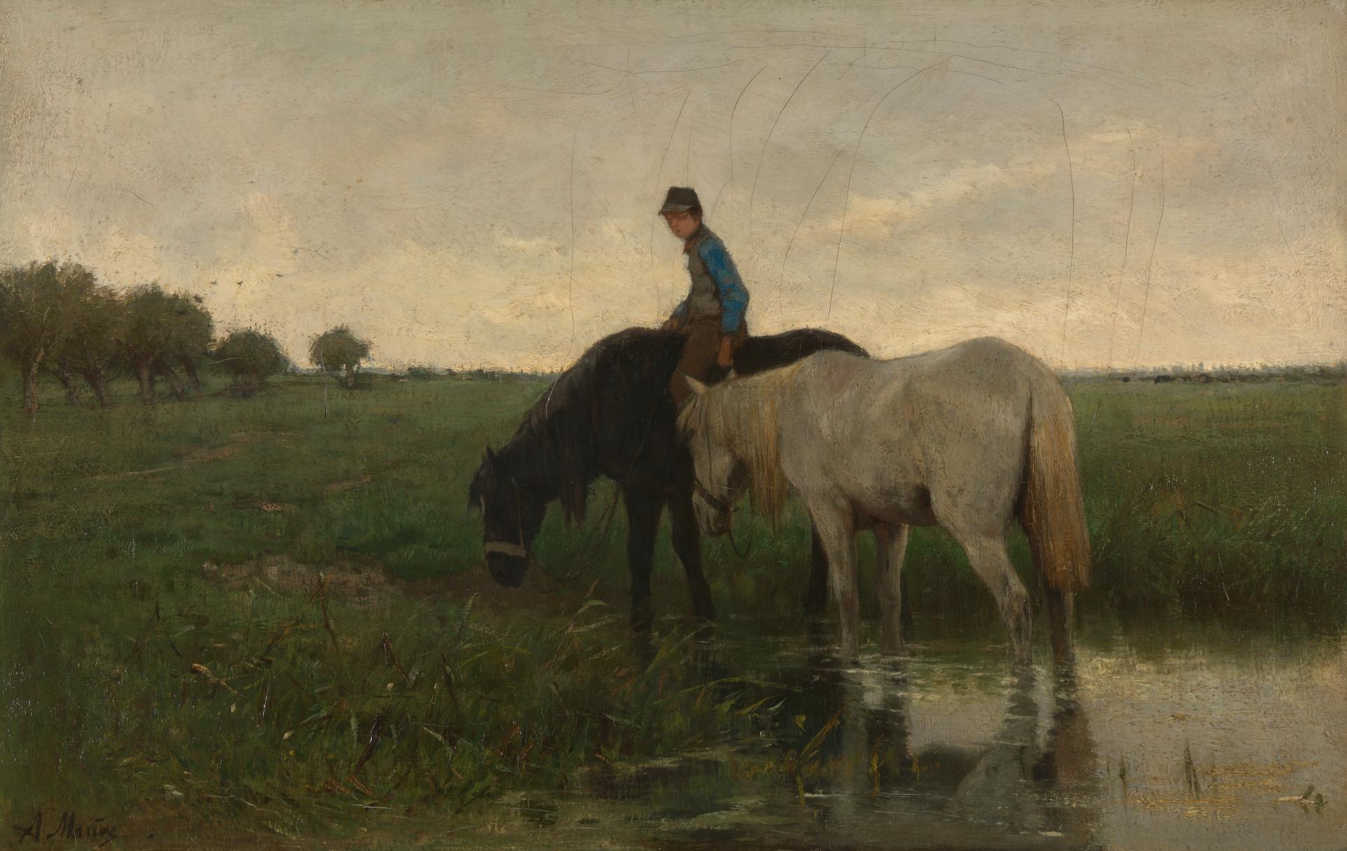 Watering Horses