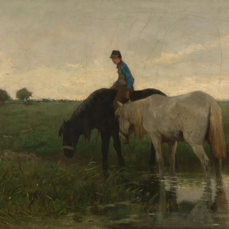 Watering Horses