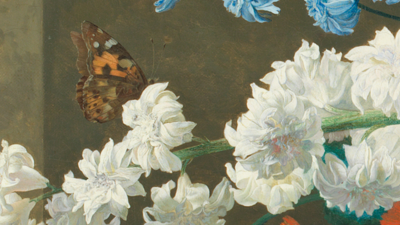 Detail of Jan van Huysum, 'Flowers in a Terracotta Vase', 1736-7. Butterfly on a white flower.